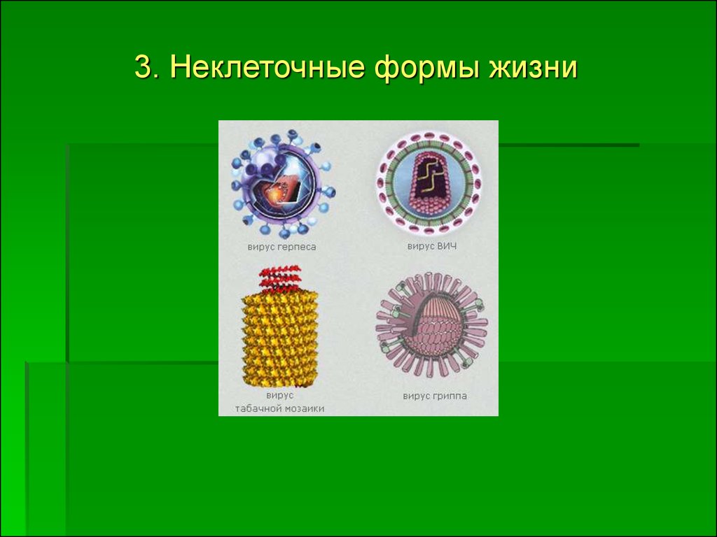 Неклеточные организмы. Неклеточные формы жизни. Вирус герпеса неклеточная форма. Межклеточная форма жизни это.