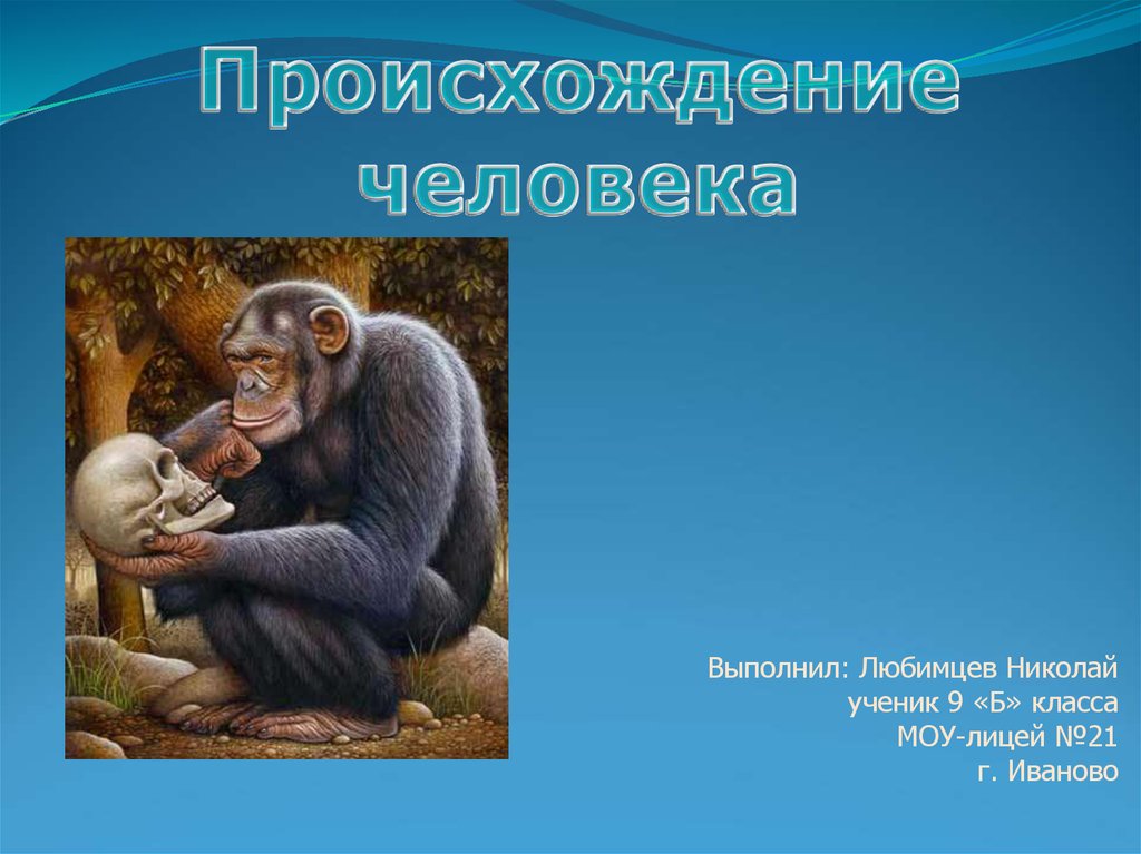 Презентация происхождение человека 11 класс биология