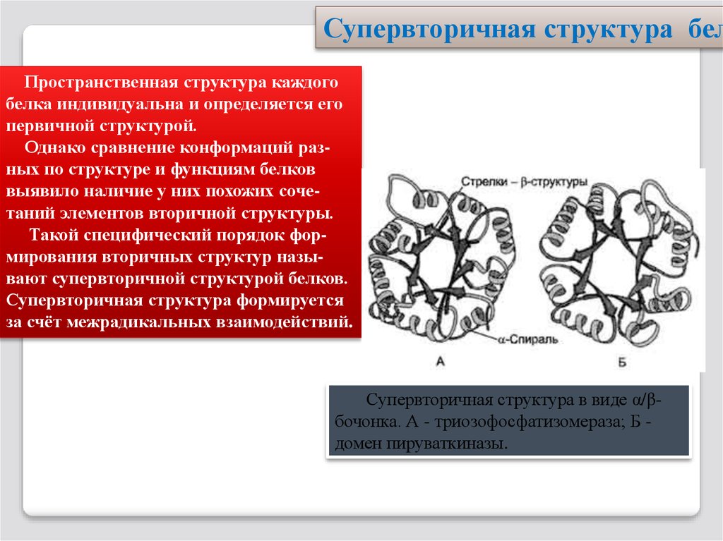 Структура каждая с каждой. Супер вторичная структура белка. Супервторичная структура белка. Супервторичная структура белка биохимия. Супервторичные структуры белков.