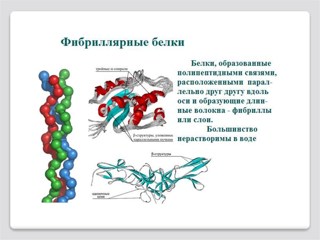 Белки в воде образуют. Структура белка фибриллярные белки. Четвертичная структура фибриллярного белка. Строение фибриллярных и глобулярных белков. Фибриллярные и глобулярные белки структура.