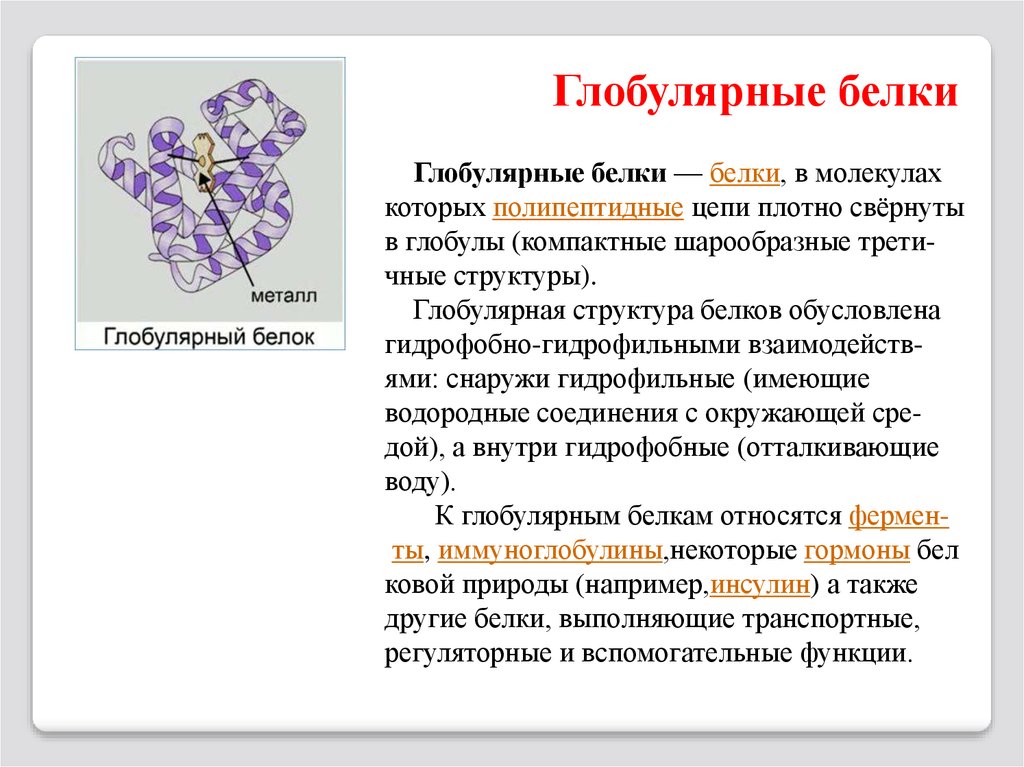 Описание белков. Глобулярные белки структура. Глобулярные белки первичная структура. Глобула это структура белка. Структура глобулярных белков.