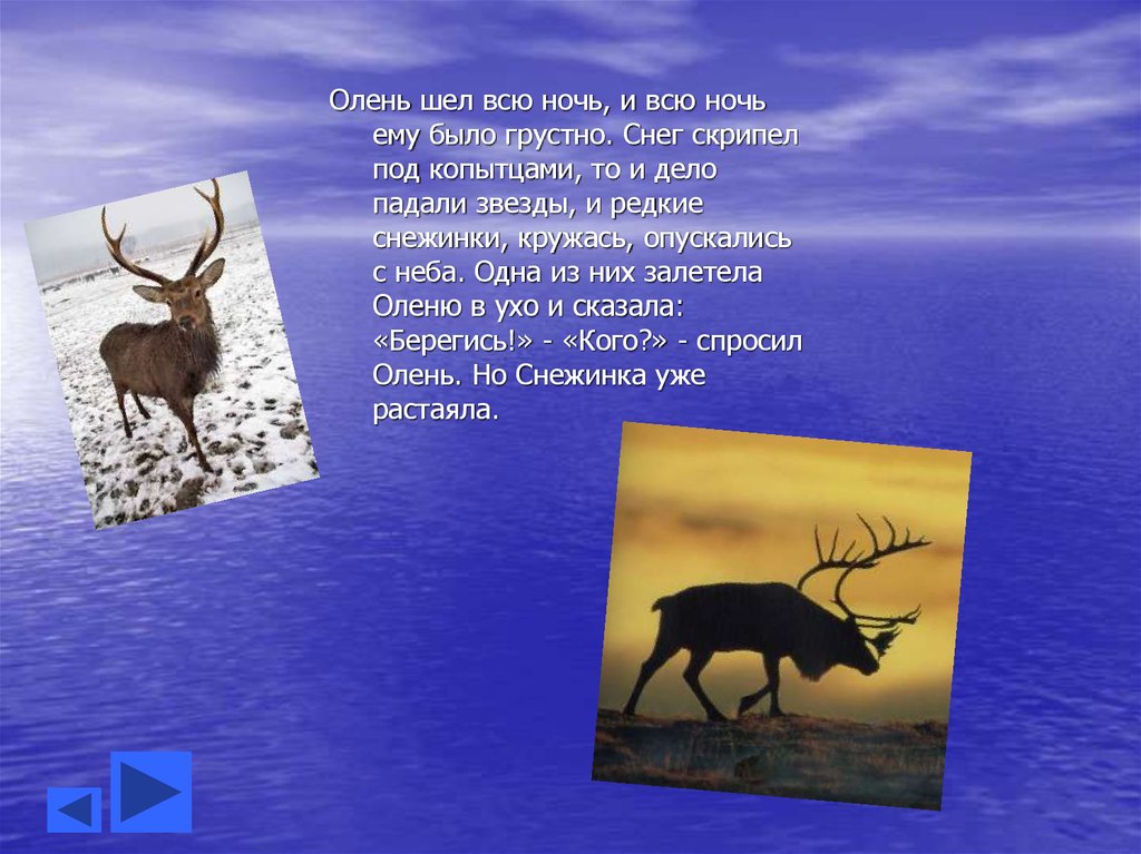 Олень в воду написал. Олень идет. Почему олени кружатся. Олень идёт фаза. Люлень люлень по горам идет олень.