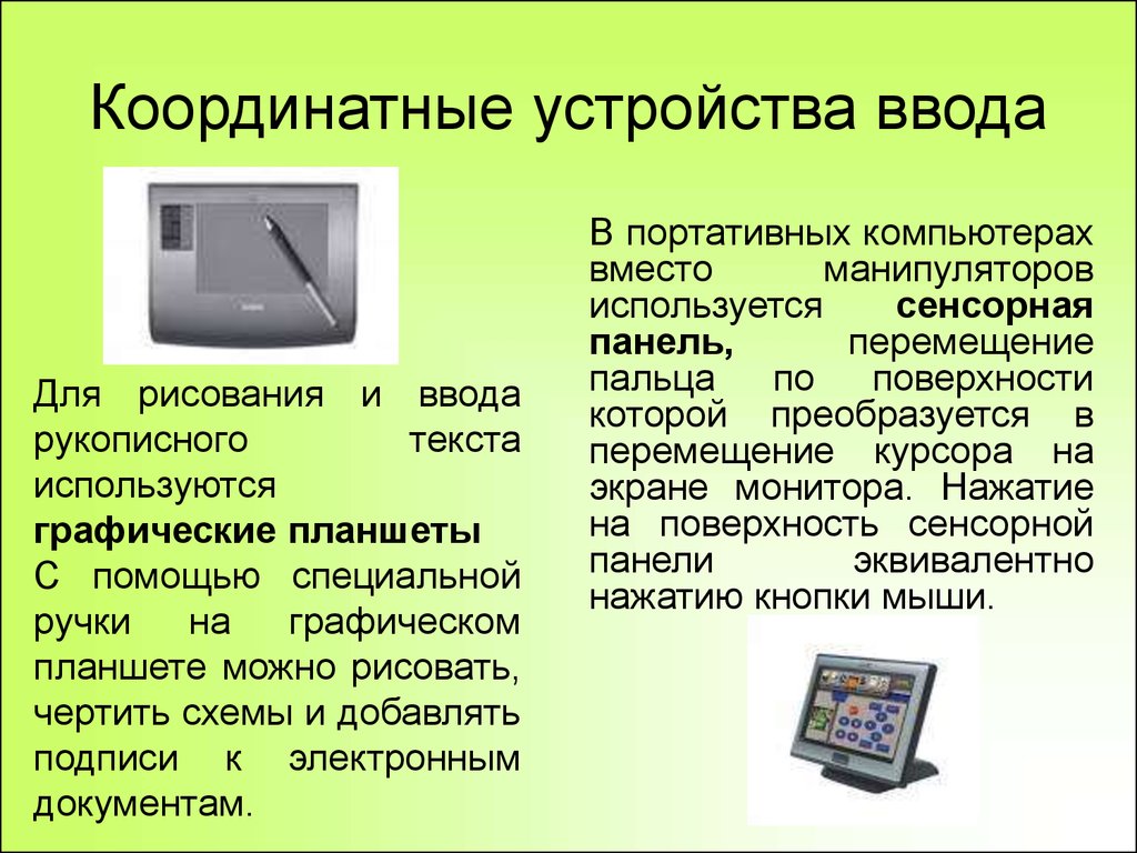 Экранную функцию. Устройства ввода компьютера. Устройство ввода сенсорная панель. Координатные устройства. Координатные устройства ввода.