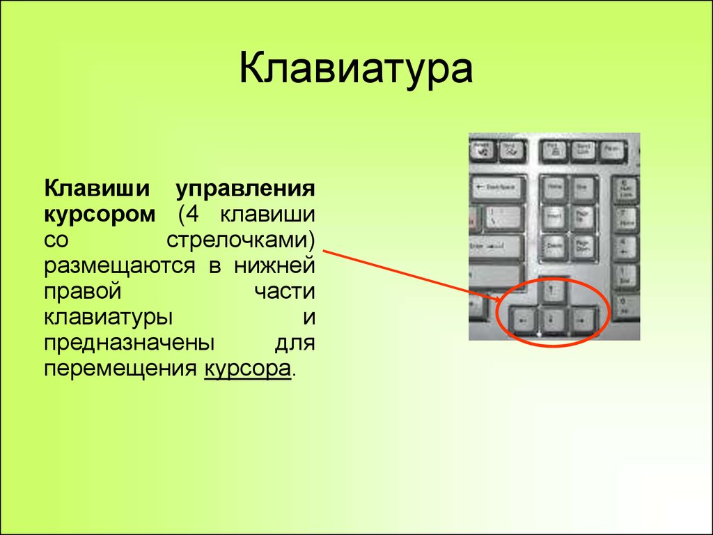 Как управлять клавиатурой. Клавиши управления курсором. Клавиши управления курсором на клавиатуре. Клавиши управления курсором на клавиатуре компьютера. Кнопки управления курсором на клавиатуре.