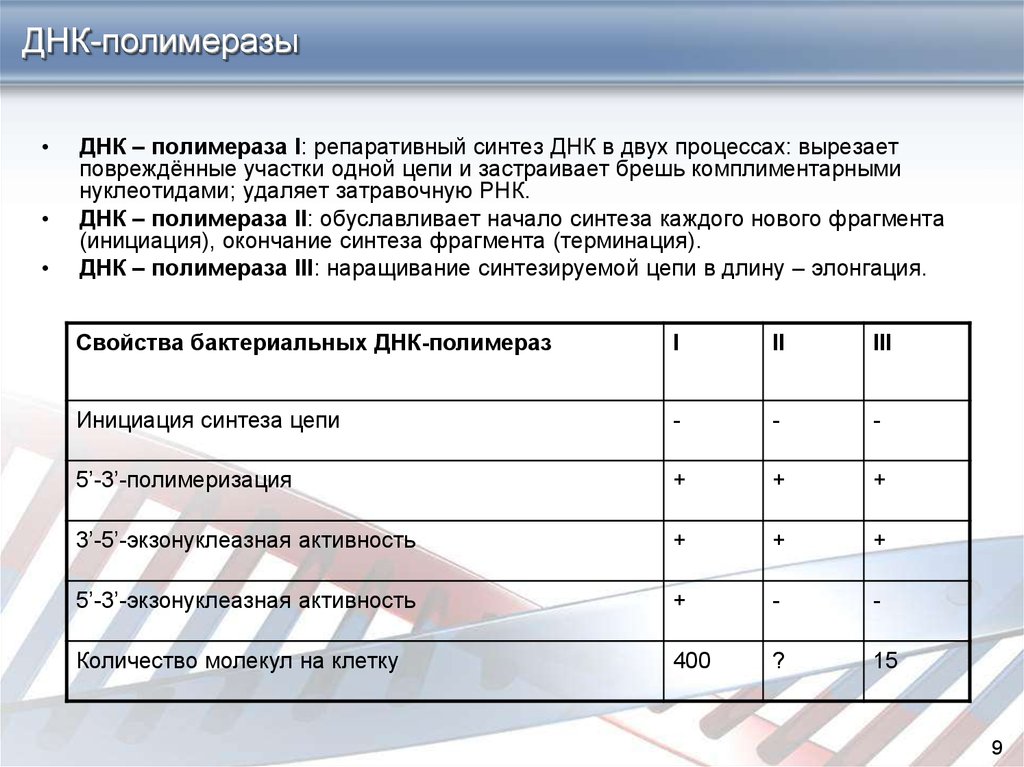 Активности днк полимераз. ДНК полимераза 1 функции. Типы ДНК полимераз. Функции ДНК полимеразы 2. Функции ДНК полимеразы 1.