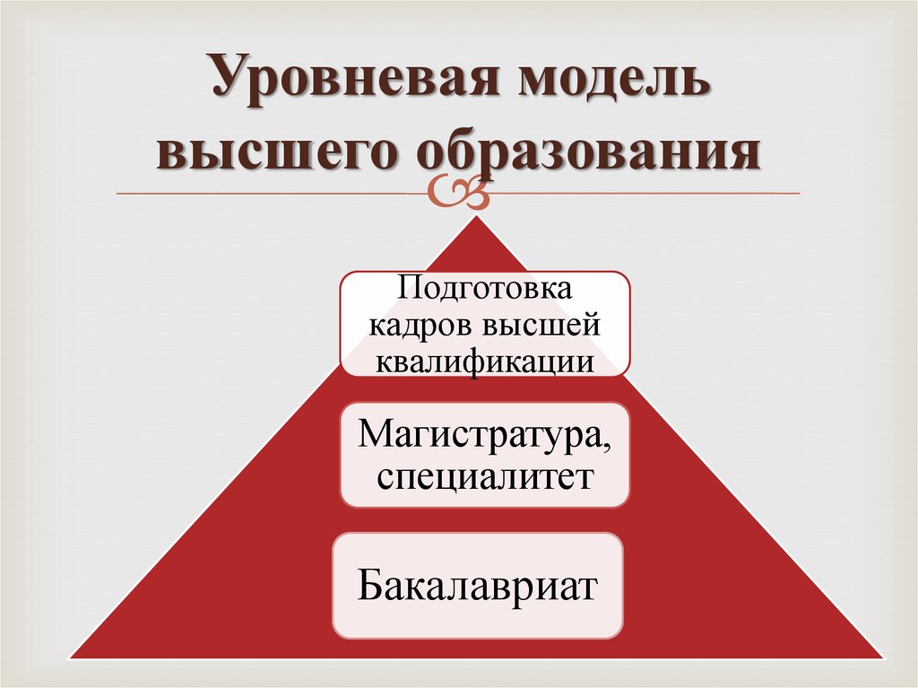 Проект высшего образования