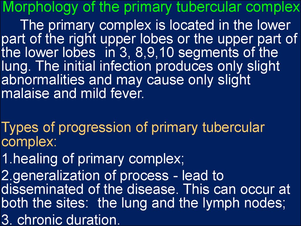 Morphology of the primary tubercular complex