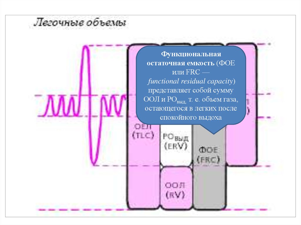 Функциональная емкость. Функциональная остаточная емкость. Остаточная емкость легких. Функциональная остаточная емкость легких. Значение функциональной остаточной емкости.