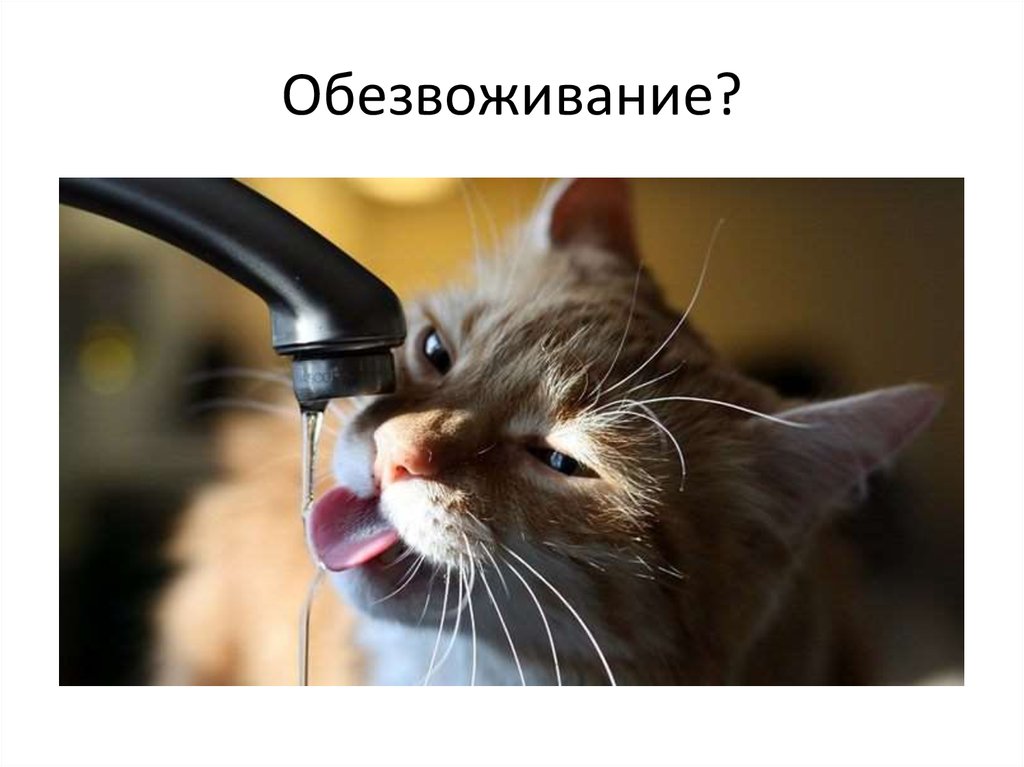 Обезвоживание?
