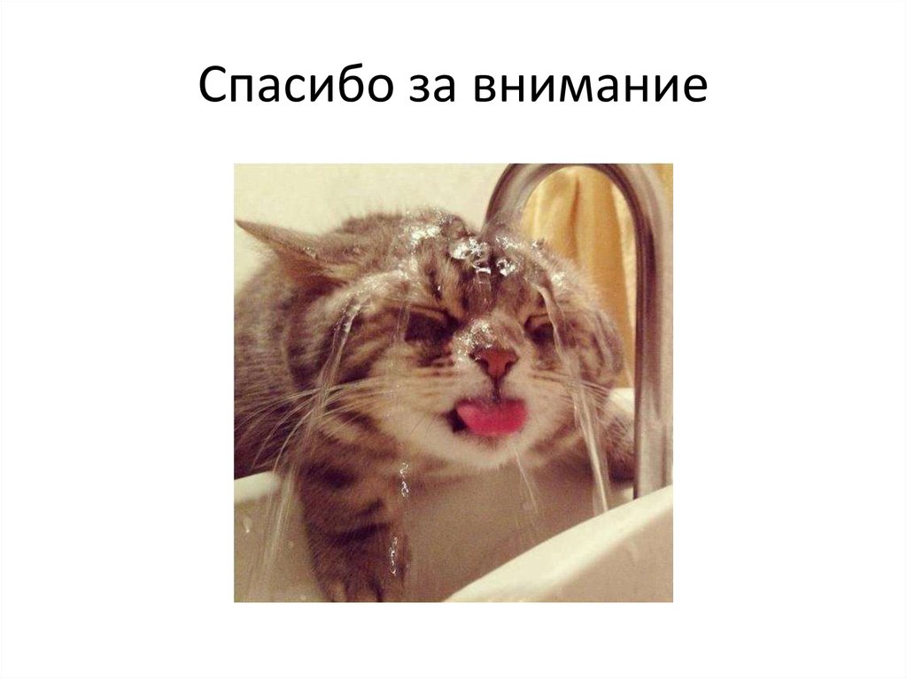 Спасибо за внимание