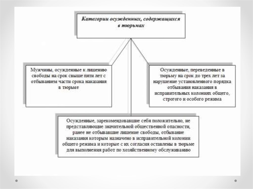 Положение осужденных к лишению свободы