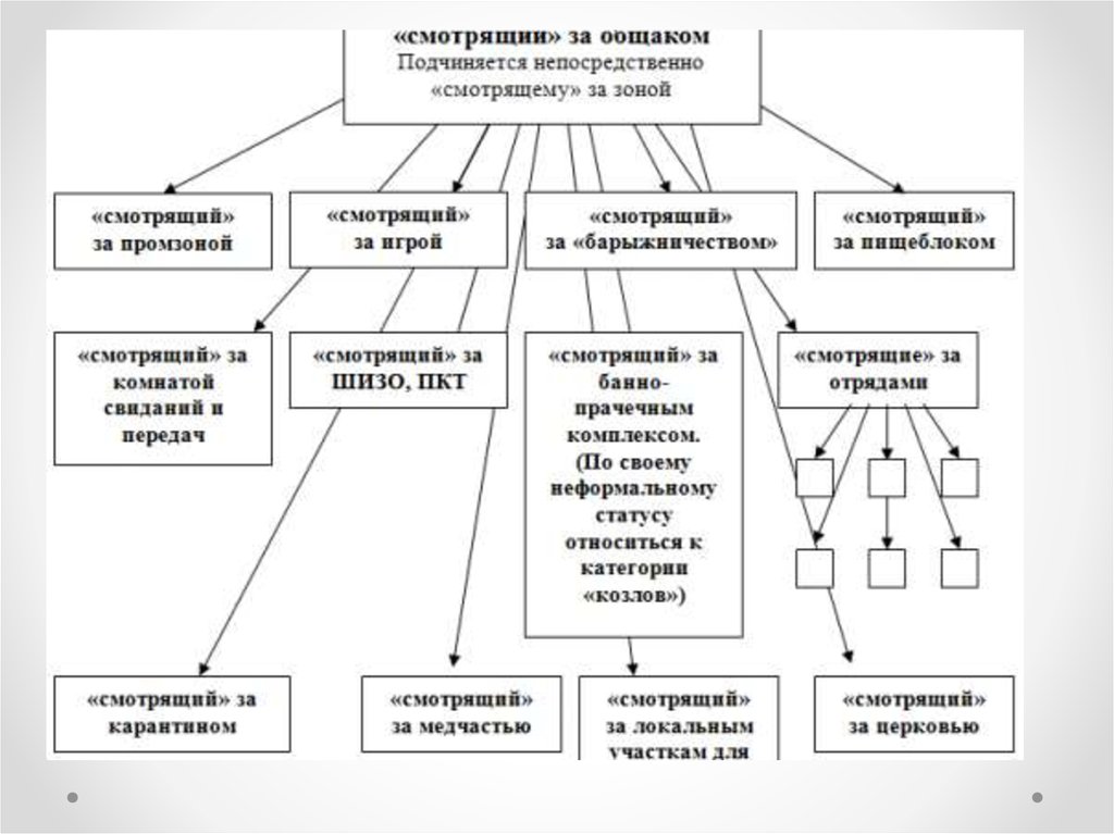 Виды свободы учреждения. Воровская иерархия схема. Тюремные касты схема. Структура организованной преступной группы схема. Структура управления исправительного учреждения.