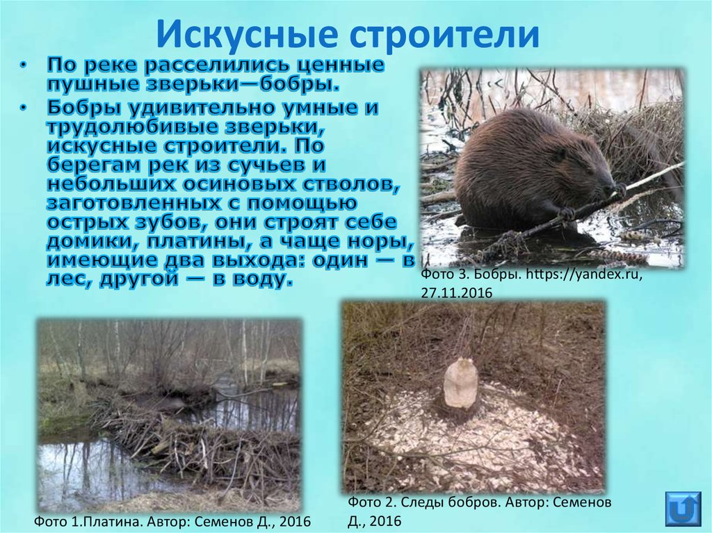 Искусные строители