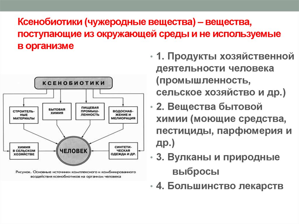 Внешняя среда микроорганизмов. Источники ксенобиотиков. Ксенобиотики презентация. Основные источники ксенобиотиков. Ксенобиотики это вещества которые.