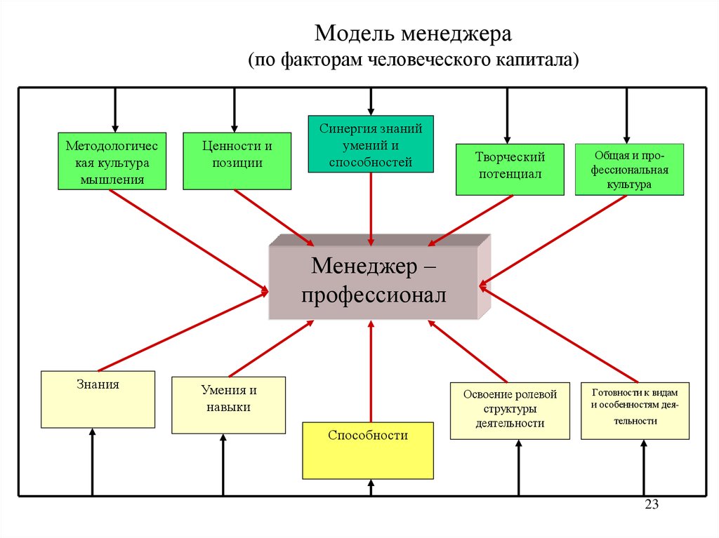 Модель менеджера (по факторам человеческого капитала)