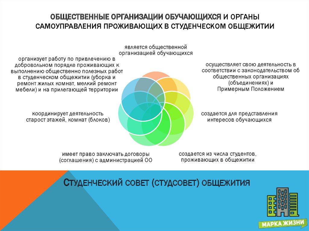 Основы деятельности общественных объединений