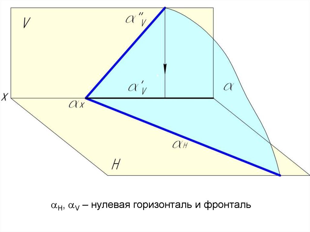 Горизонталь 4