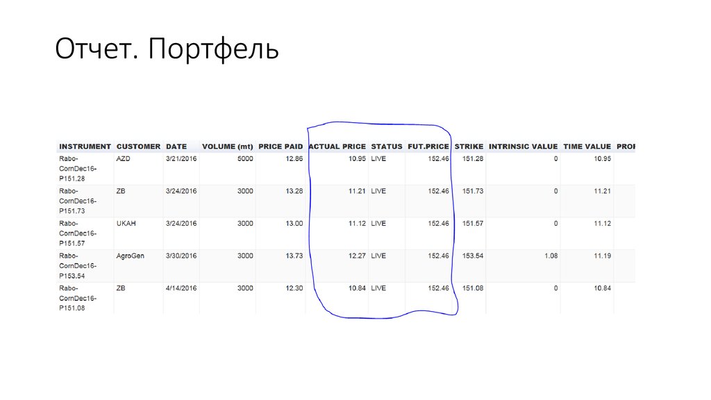 Отчет по портфелю проектов образец