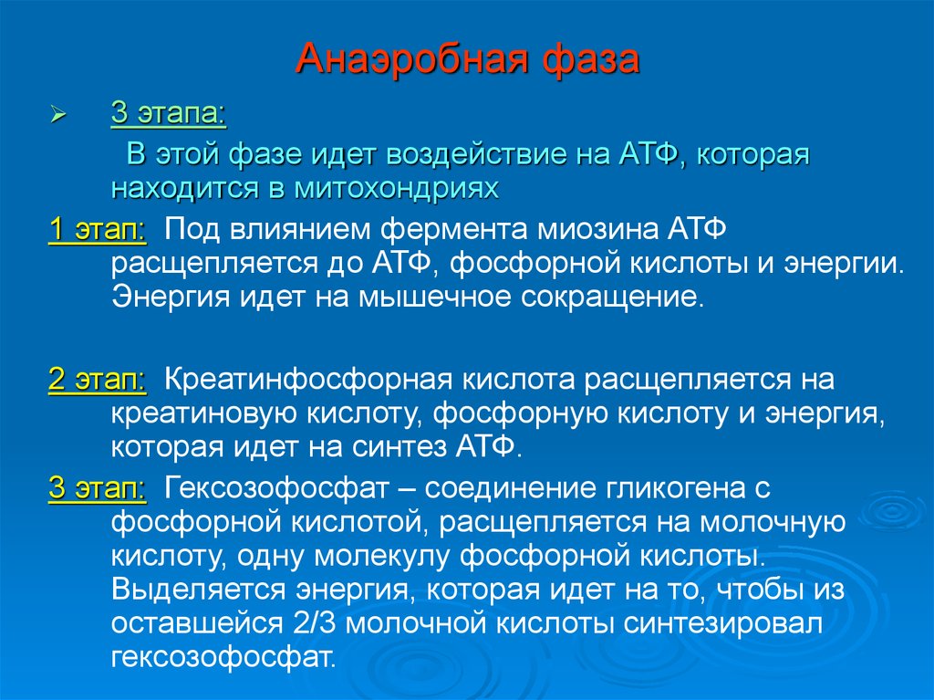 Анаэробный обмен. Анаэробная фаза. Анаэробные процессы в организме. Аэробная и анаэробная стадия. Анаэробная фаза дыхания.