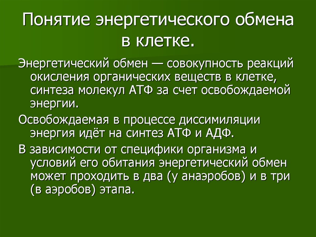 Энергетический обмен веществ презентация