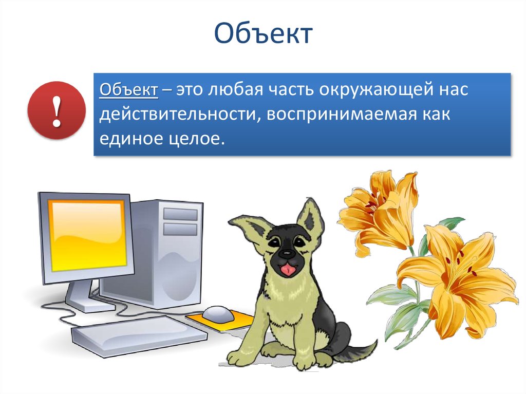 Информатика 6 класс 2. Объект окружающего мира Информатика пример. Объект. Признаки объекта Информатика 6 класс. Изученные объекты окружающего мира.