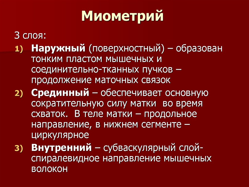 Миометрий и эндометрий. Внутренний слой миометрия.