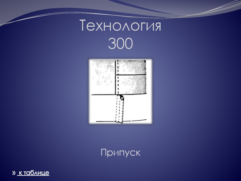 Технология 300