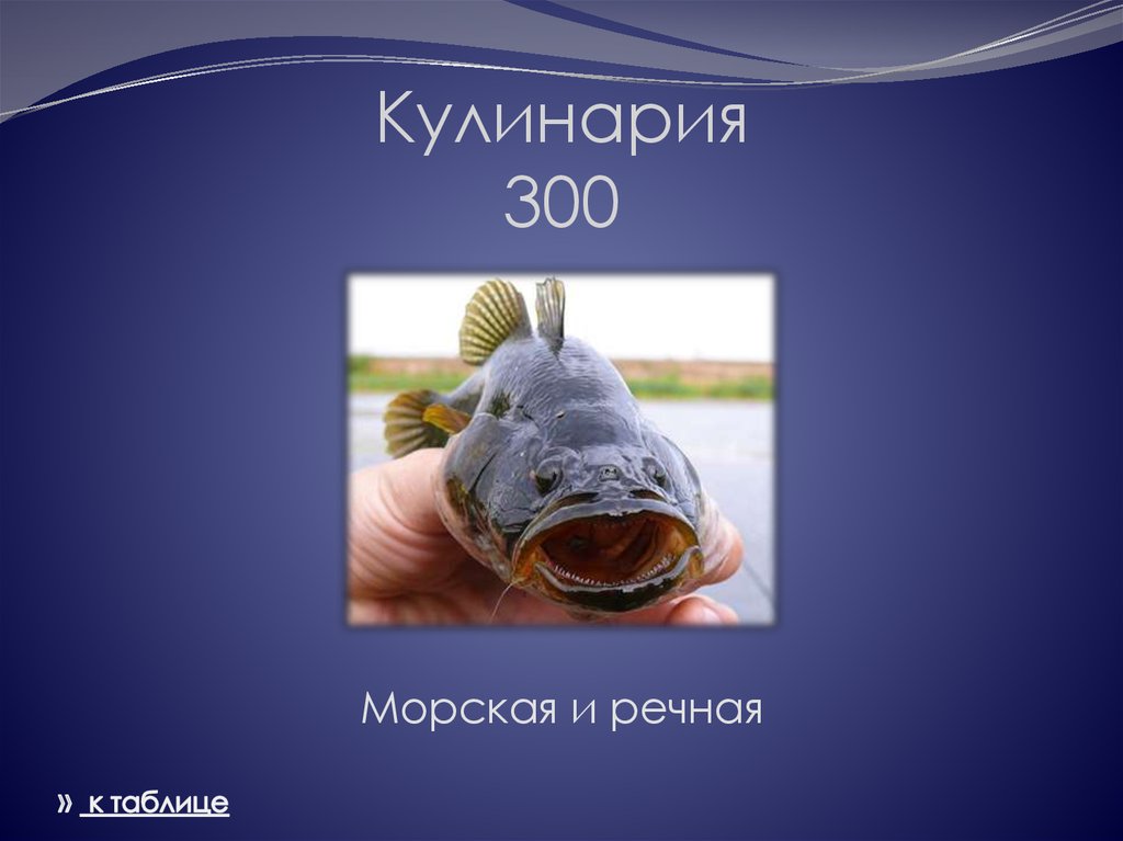 Кулинария 300