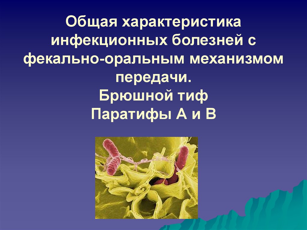 Оральный механизм. Инфекционные заболевания с фекально-оральным механизмом передачи. Заболевания фекально-орального механизма. Фекально-оральный механизм передачи инфекции. Какое заболевание передается фекально-оральным механизмом передачи.