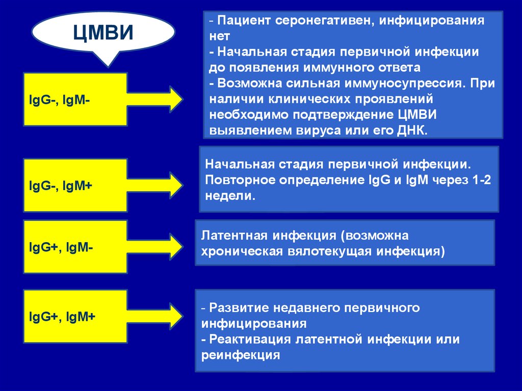 Серонегативный период инфекции. Ig g ВБ. ЦМВ инфекция иммунный ответ. Основные проявления ЦМВИ У пациентов с иммуносупрессией.