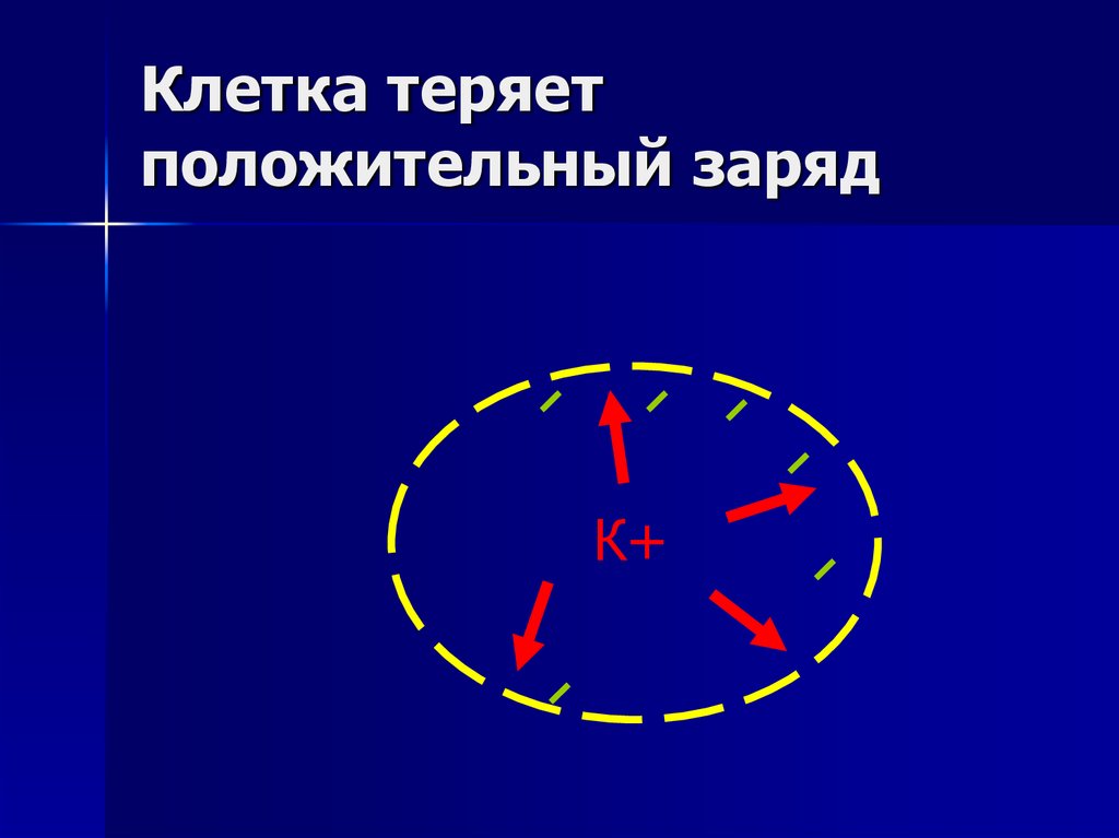 Клетка теряет положительный заряд