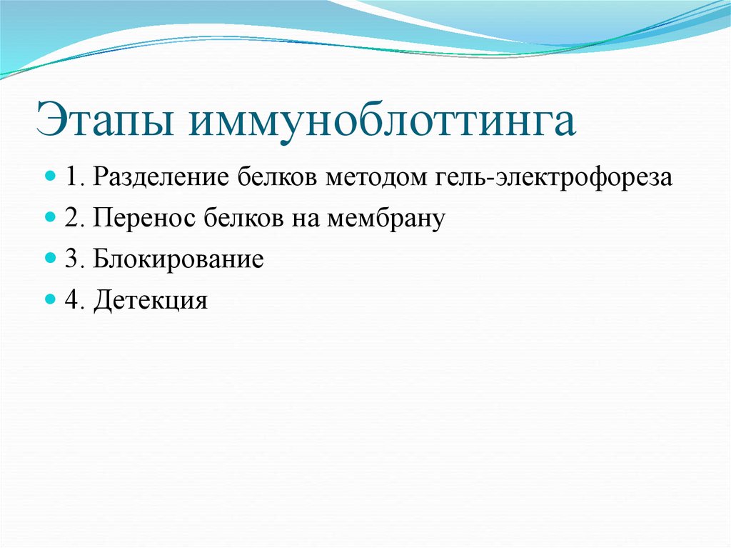 Этапы иммуноблоттинга