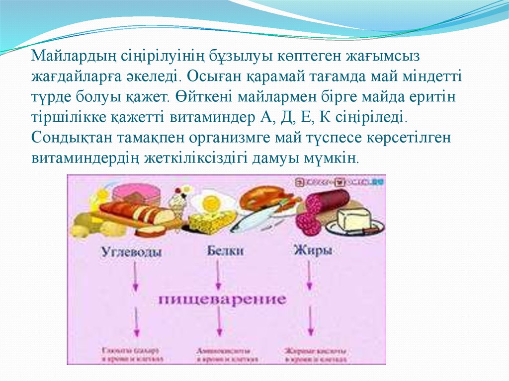 Липидтер алмасуы презентация