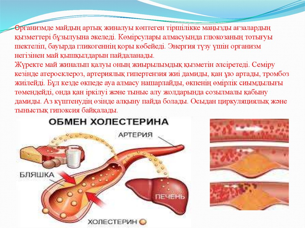 Липидтер алмасуы презентация