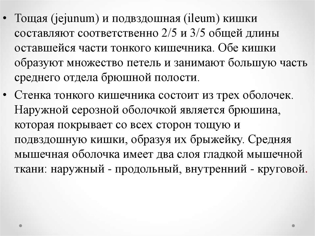 Соответственно составляет. Длина тощей кишки составляет от длины тонкой. Кишечник образует множество петель покрытых.