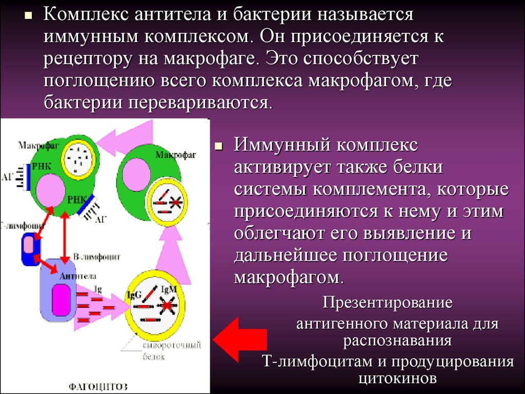 Иммунная оценка