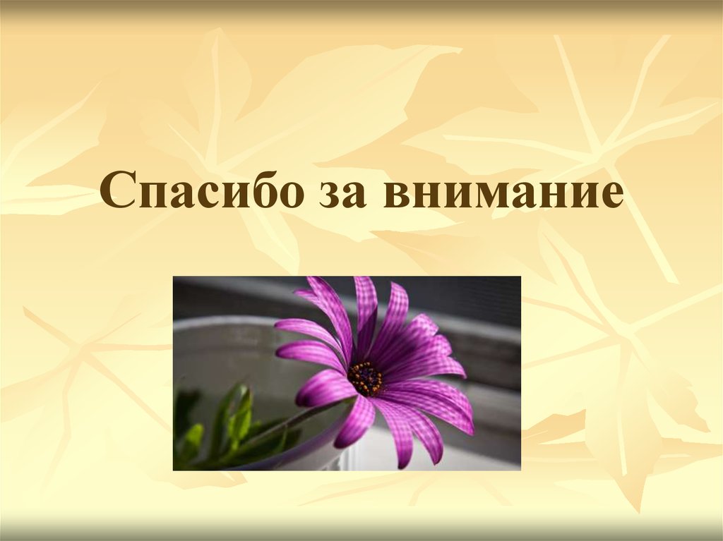 Спасибо за внимание