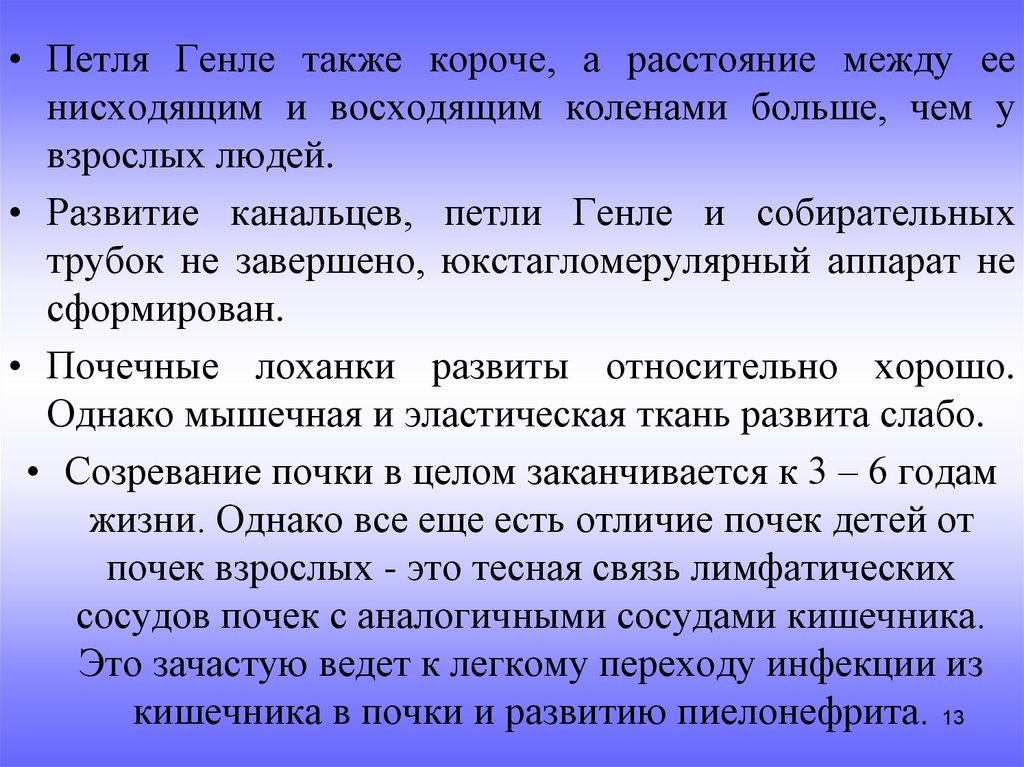 Также короче. Созревание почек. Характеристика почки взрослого человека. Восходящие и нисходящие инфекции почек. Морфологическое созревание почек.