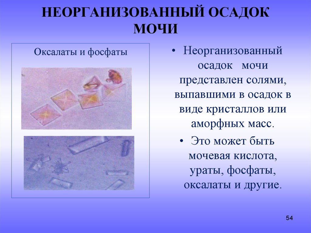 Организованный и неорганизованный осадок мочи презентация