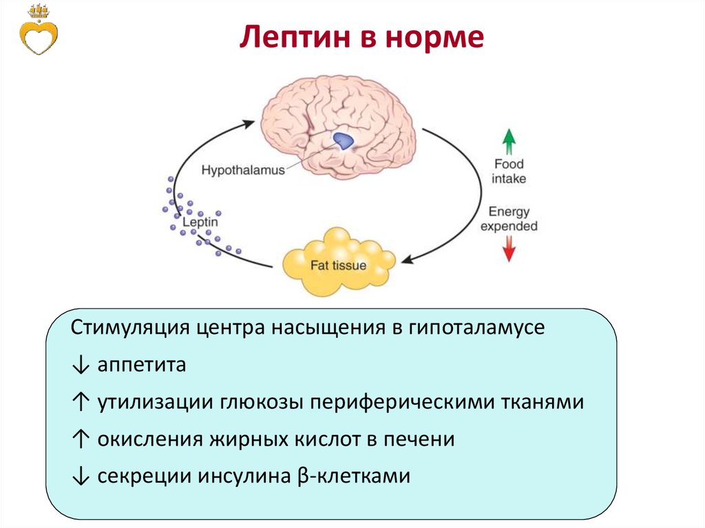 Карта долгосрочных целей по горизонтали содержит