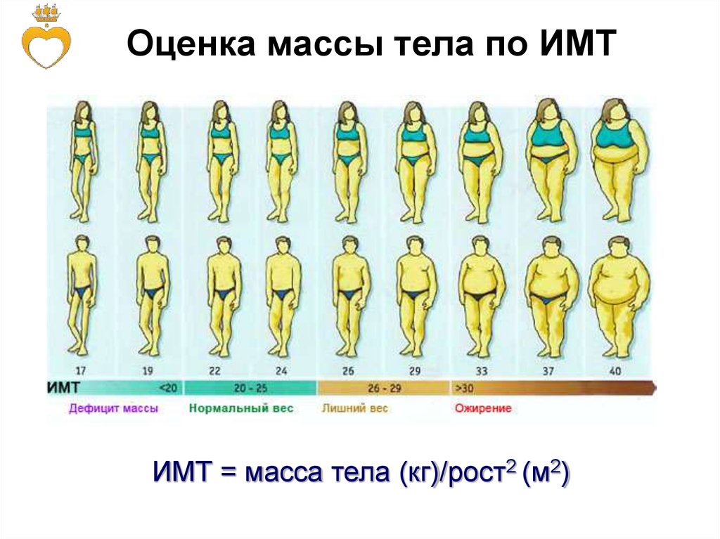 Оцените массу. Недостаток веса ИМТ. Оценка массы тела. ИМТ 20. Недостаток жировой массы.