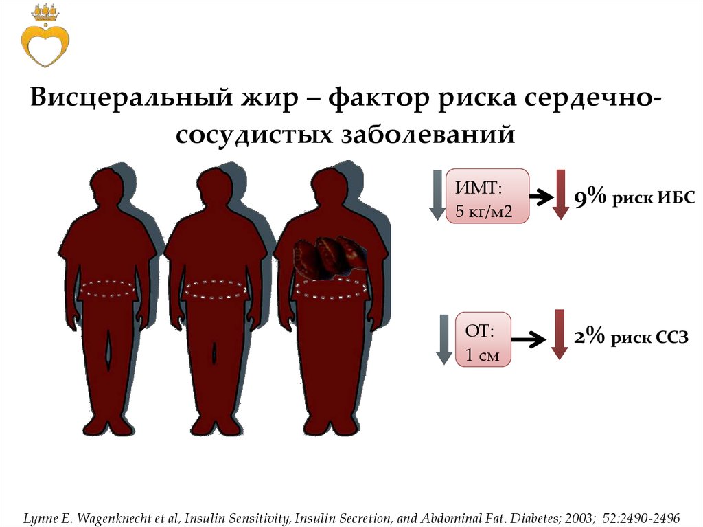 Объясните причины жирового перерождения печени используя схему синтеза триглицеридов и фосфатидов