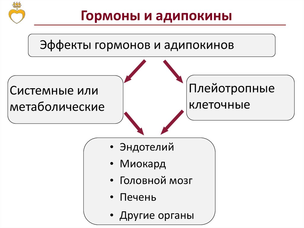 Лучевая диагностика нервной системы презентация