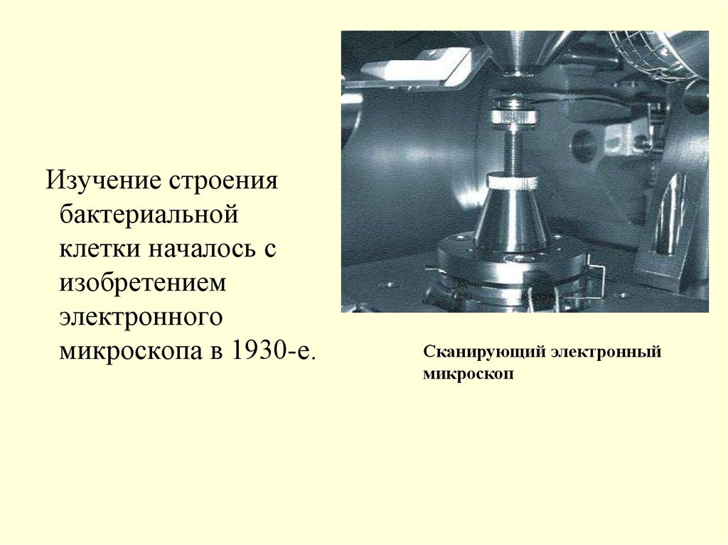 Кто изобрел электронный микроскоп