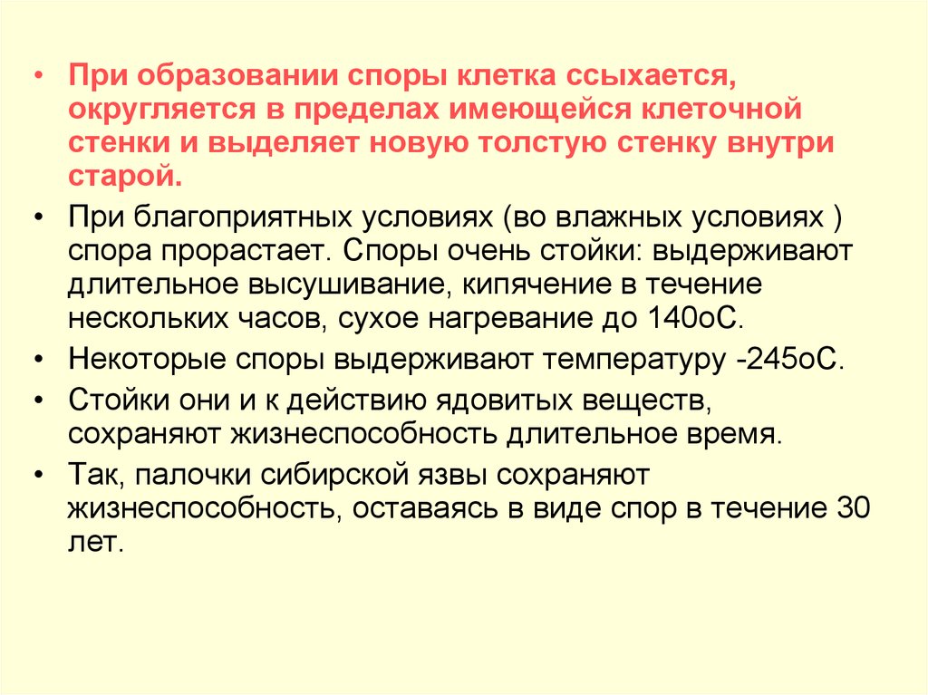 В течение спора. При образовании новых клеток. Сколько клеток в споре.