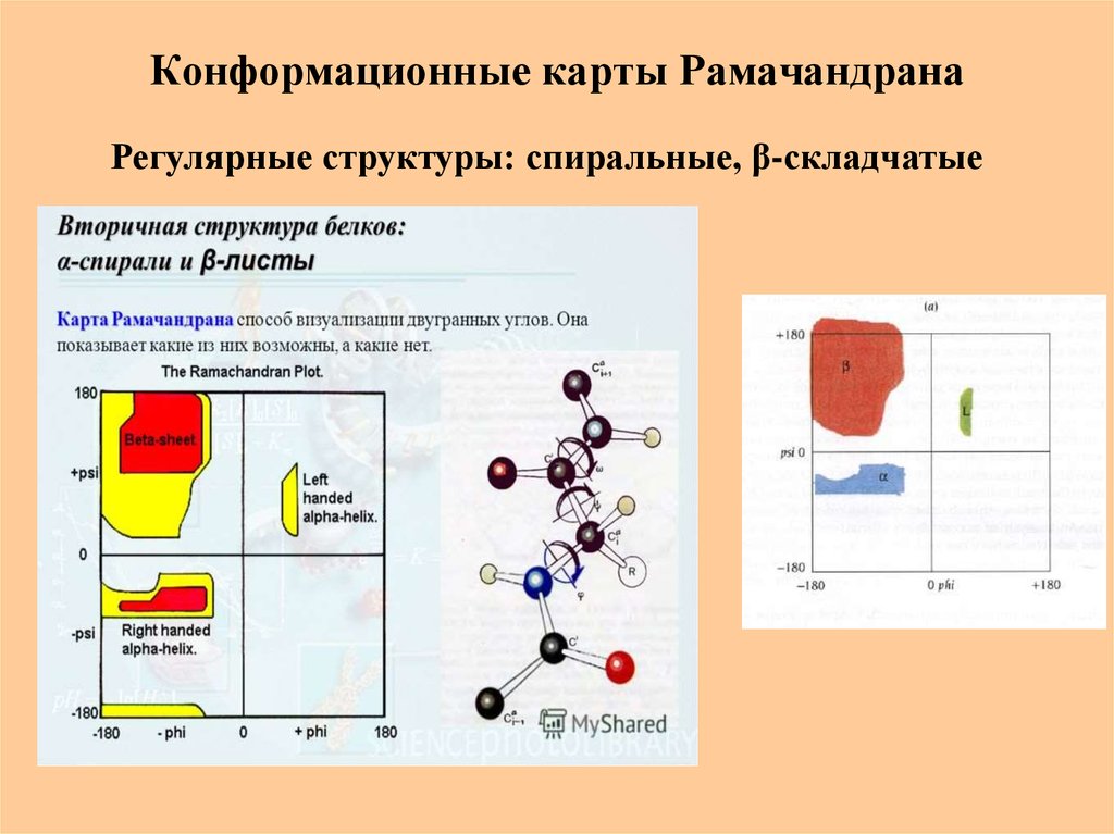 Карта рамачандрана для аминокислот