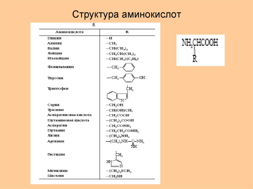 Оптические аминокислоты. Структура аминокислот биохимия. Строение аминокислот биохимия. Аминокислоты строение и функции биохимия. Иминокислот структура.