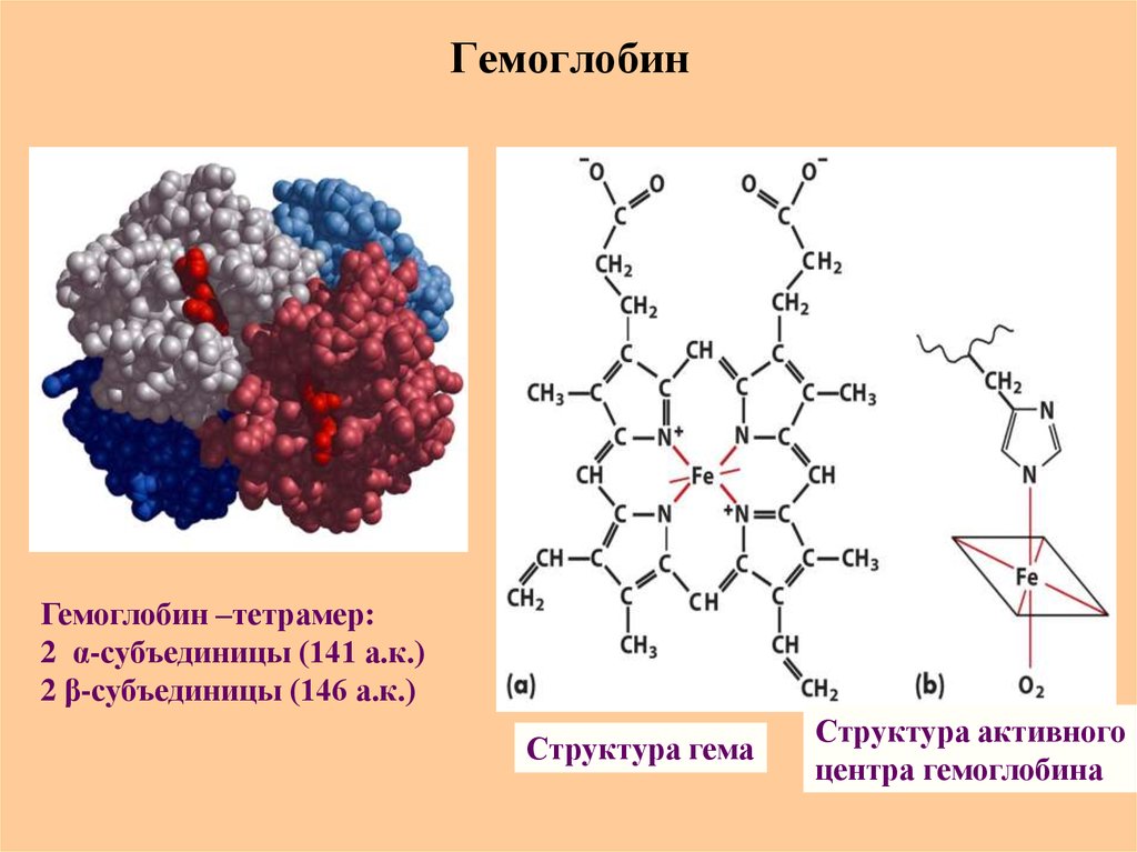 Биохимическое строение. Строение гемоглобина формула. Схема строения гемоглобина. Строение гемоглобина химия. Строение молекулы гемоглобина биохимия.