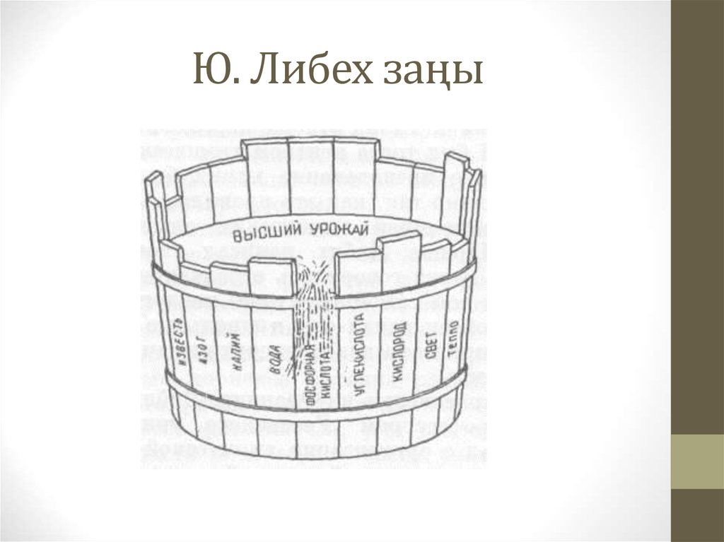 На рисунке изображена бочка либиха иллюстрирующая зависимость урожая от лимитирующего фактора