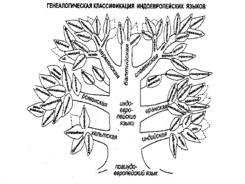 Индоевропейские ветви. Генеалогическое дерево индоевропейских языков. Индоевропейская языковая семья генеалогическое Древо. Генеалогическое Древо индоевропейских языков схема. Генеалогическая классификация индоевропейских языков дерево.